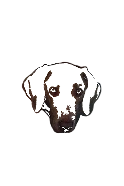 Dog Logo